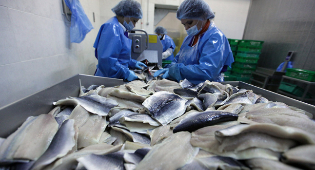 Фото - Восстановление завода по производству филе рыбы